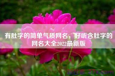 有肚字的简单气质网名，好听含肚字的网名大全2022最新版