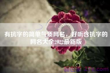 有抗字的简单气质网名，好听含抗字的网名大全2022最新版