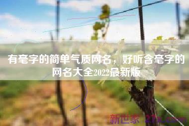 有毫字的简单气质网名，好听含毫字的网名大全2022最新版