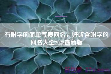 有咐字的简单气质网名，好听含咐字的网名大全2022最新版