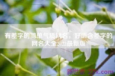 有差字的简单气质网名，好听含差字的网名大全2022最新版