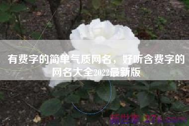 有费字的简单气质网名，好听含费字的网名大全2022最新版