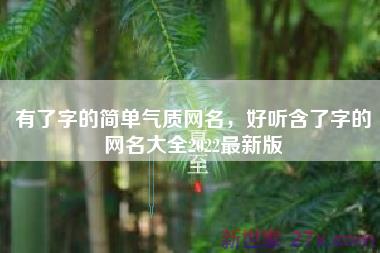 有了字的简单气质网名，好听含了字的网名大全2022最新版