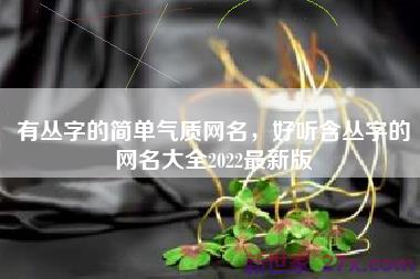 有丛字的简单气质网名，好听含丛字的网名大全2022最新版