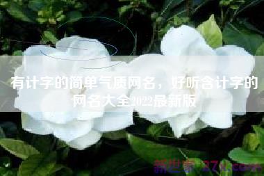 有计字的简单气质网名，好听含计字的网名大全2022最新版