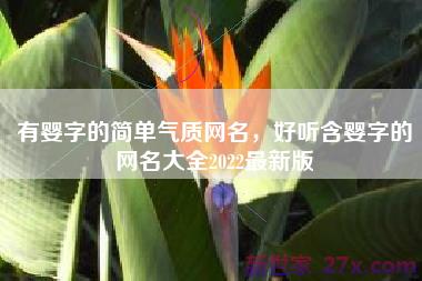 有婴字的简单气质网名，好听含婴字的网名大全2022最新版