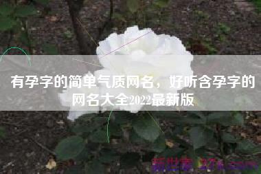 有孕字的简单气质网名，好听含孕字的网名大全2022最新版