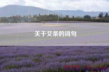 关于艾条的词句