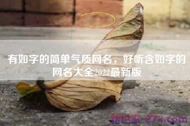 有如字的简单气质网名，好听含如字的网名大全2022最新版