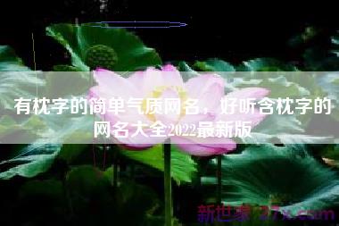 有枕字的简单气质网名，好听含枕字的网名大全2022最新版