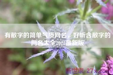 有敝字的简单气质网名，好听含敝字的网名大全2022最新版