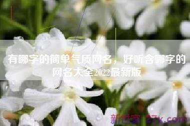 有哪字的简单气质网名，好听含哪字的网名大全2022最新版