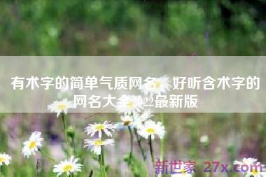 有术字的简单气质网名，好听含术字的网名大全2022最新版