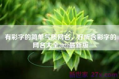 有彩字的简单气质网名，好听含彩字的网名大全2022最新版