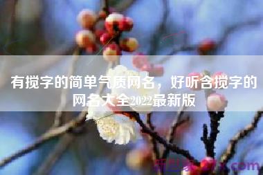 有搅字的简单气质网名，好听含搅字的网名大全2022最新版