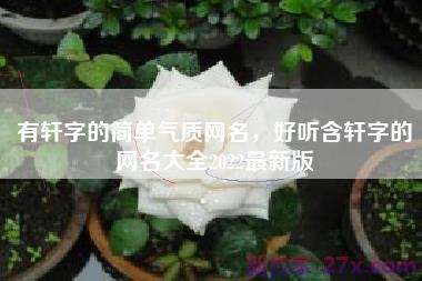 有轩字的简单气质网名，好听含轩字的网名大全2022最新版