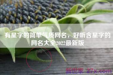 有星字的简单气质网名，好听含星字的网名大全2022最新版