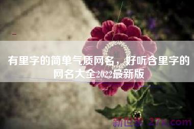 有里字的简单气质网名，好听含里字的网名大全2022最新版