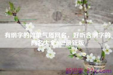有纲字的简单气质网名，好听含纲字的网名大全2022最新版