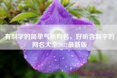 有制字的简单气质网名，好听含制字的网名大全2022最新版