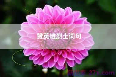 赞英雄烈士词句