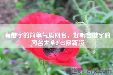 有蘑字的简单气质网名，好听含蘑字的网名大全2022最新版