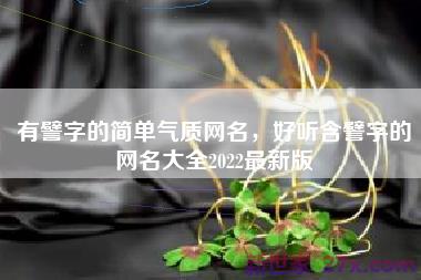 有譬字的简单气质网名，好听含譬字的网名大全2022最新版