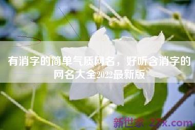 有消字的简单气质网名，好听含消字的网名大全2022最新版