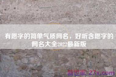 有愿字的简单气质网名，好听含愿字的网名大全2022最新版