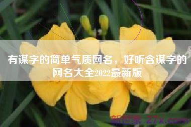 有谋字的简单气质网名，好听含谋字的网名大全2022最新版