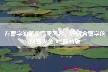 有曹字的简单气质网名，好听含曹字的网名大全2022最新版