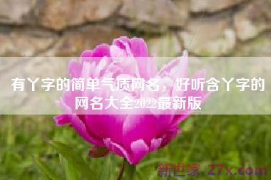 有丫字的简单气质网名，好听含丫字的网名大全2022最新版