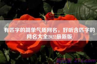 有匹字的简单气质网名，好听含匹字的网名大全2022最新版
