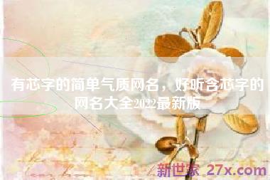 有芯字的简单气质网名，好听含芯字的网名大全2022最新版