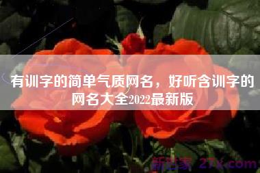有训字的简单气质网名，好听含训字的网名大全2022最新版