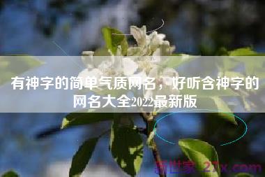 有神字的简单气质网名，好听含神字的网名大全2022最新版