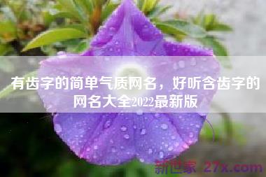 有齿字的简单气质网名，好听含齿字的网名大全2022最新版