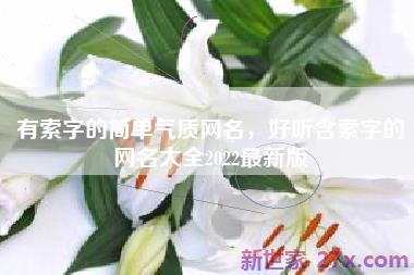 有索字的简单气质网名，好听含索字的网名大全2022最新版
