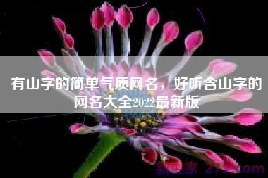 有山字的简单气质网名，好听含山字的网名大全2022最新版