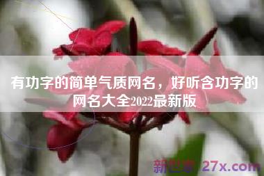有功字的简单气质网名，好听含功字的网名大全2022最新版