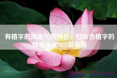 有植字的简单气质网名，好听含植字的网名大全2022最新版