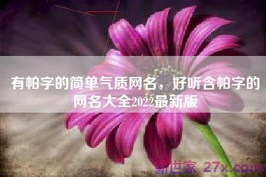 有帕字的简单气质网名，好听含帕字的网名大全2022最新版