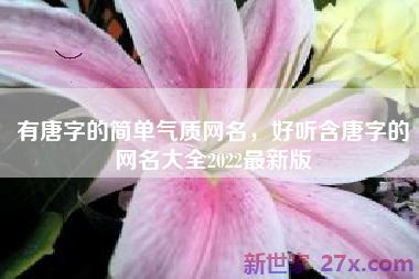 有唐字的简单气质网名，好听含唐字的网名大全2022最新版