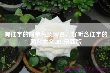 有任字的简单气质网名，好听含任字的网名大全2022最新版