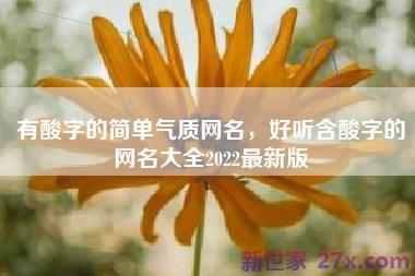 有酸字的简单气质网名，好听含酸字的网名大全2022最新版