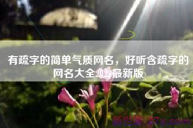 有疏字的简单气质网名，好听含疏字的网名大全2022最新版