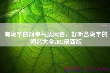 有烧字的简单气质网名，好听含烧字的网名大全2022最新版