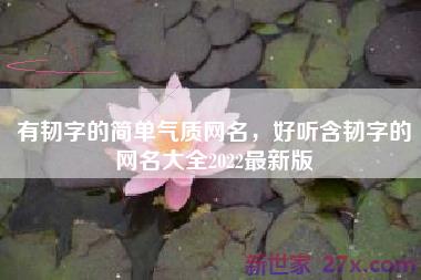 有韧字的简单气质网名，好听含韧字的网名大全2022最新版