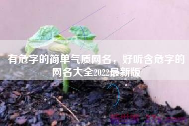 有危字的简单气质网名，好听含危字的网名大全2022最新版
