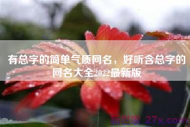 有总字的简单气质网名，好听含总字的网名大全2022最新版